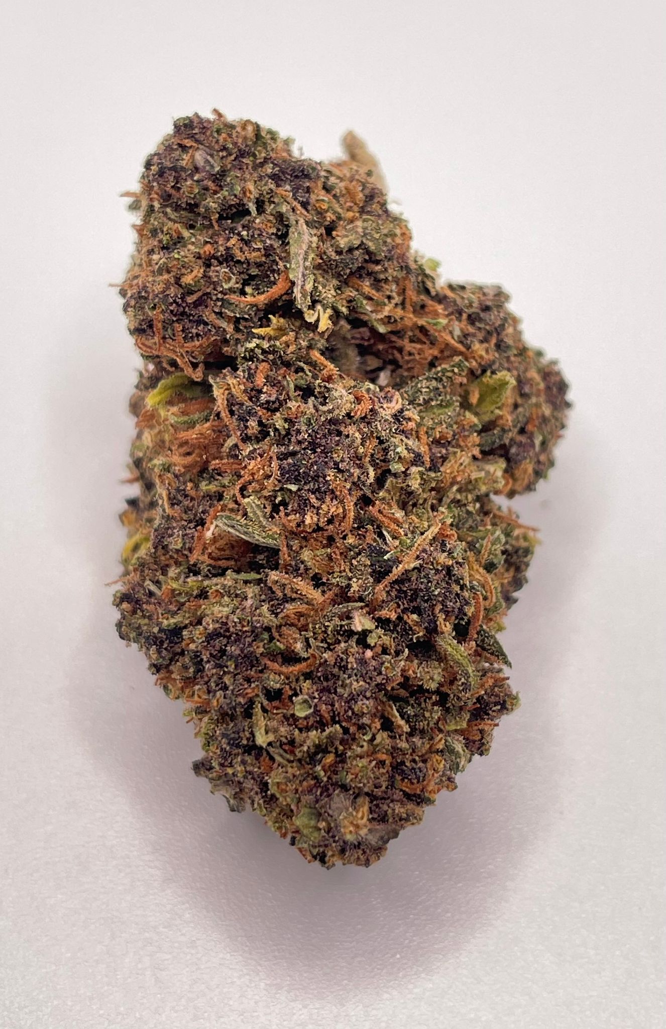 Fleur CBD Panther (2) - LS LabFarm City Nice