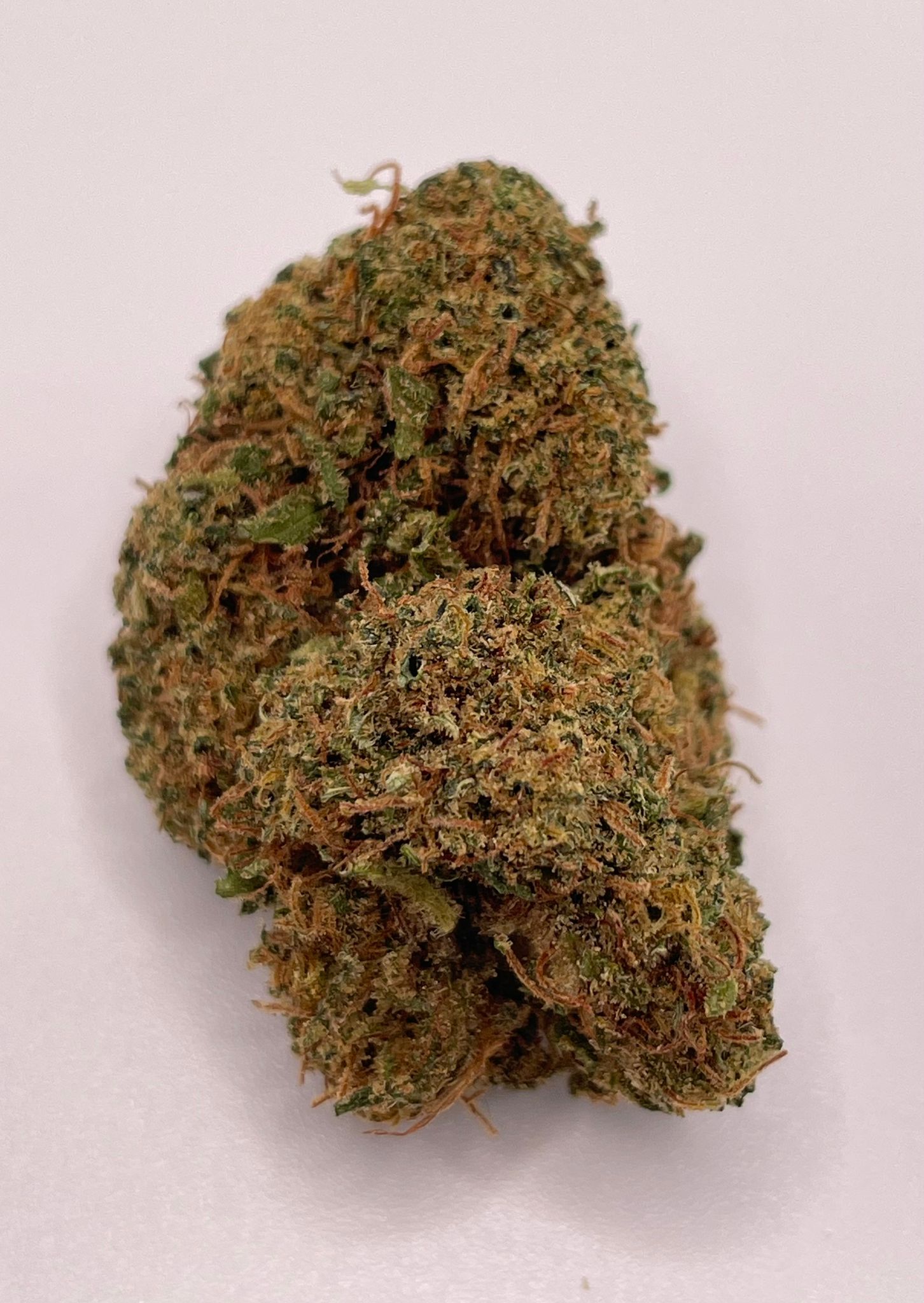 Fleur CBD Royal (2) - LS LabFarm City Nice