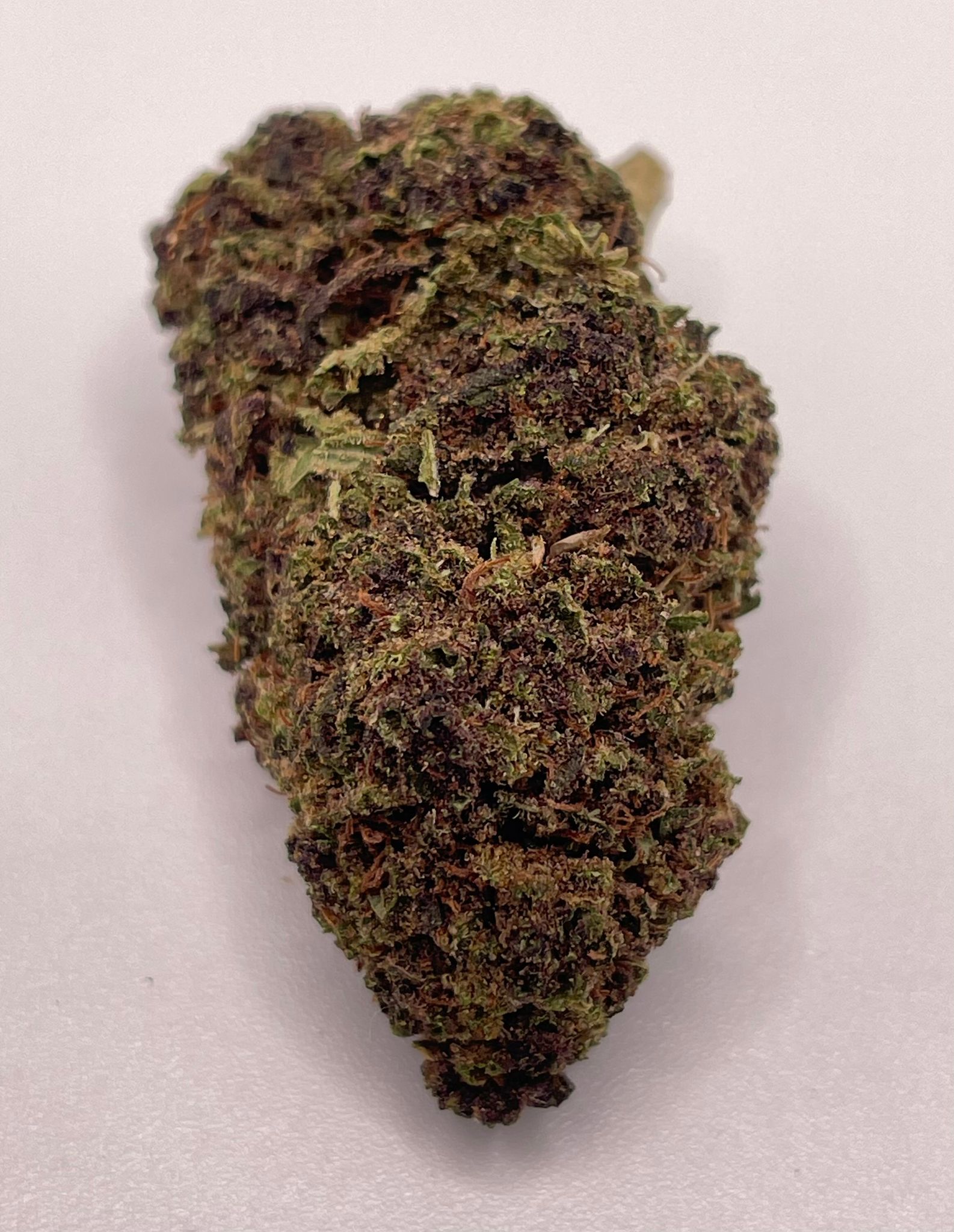 Fleur CBD SB (2) - LS LabFarm City Nice