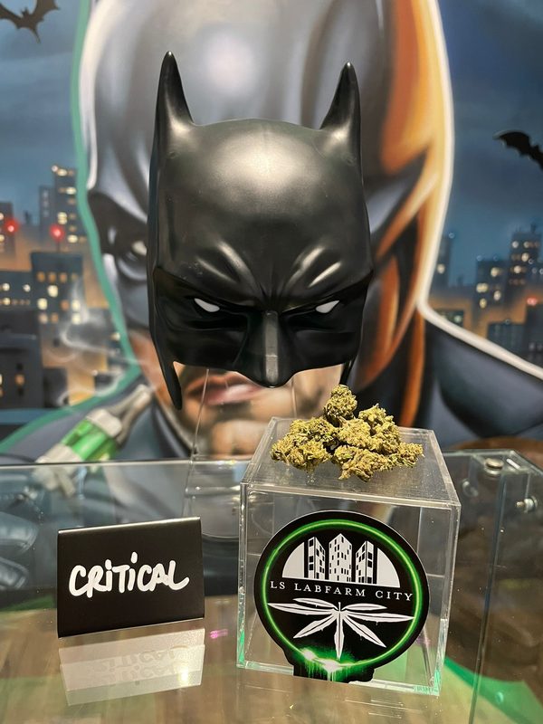 Fleur CBD Critical - LS LabFarm City Nice
