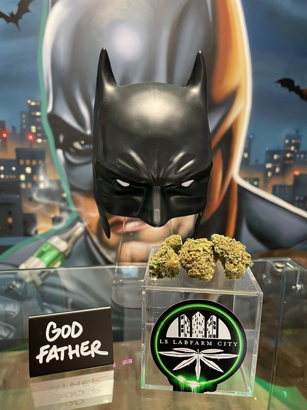 Fleur CBD God Father - LS LabFarm City Nice