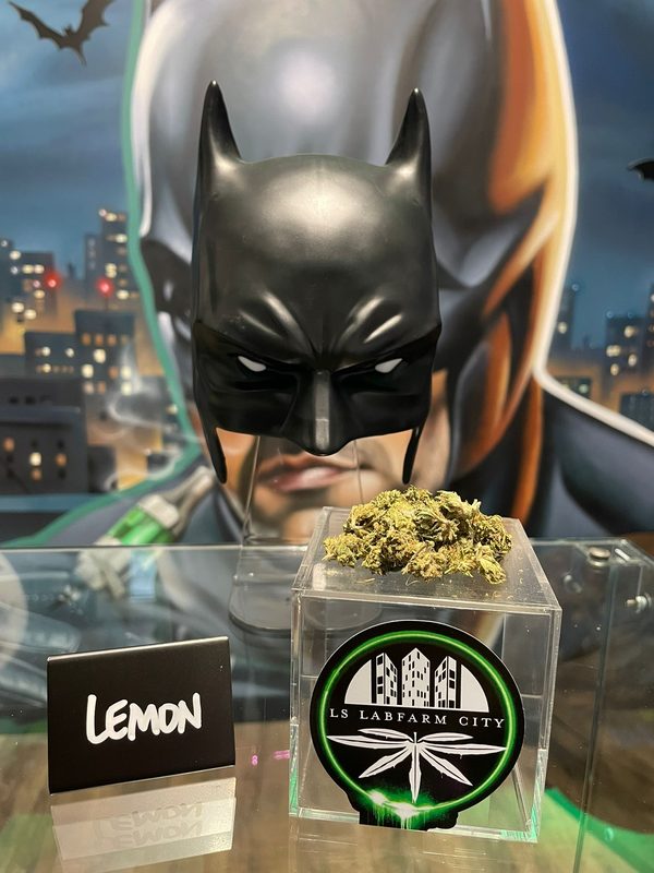 Fleur CBD Lemon - LS LabFarm City Nice