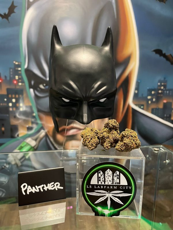 Fleur CBD Panther - LS LabFarm City Nice