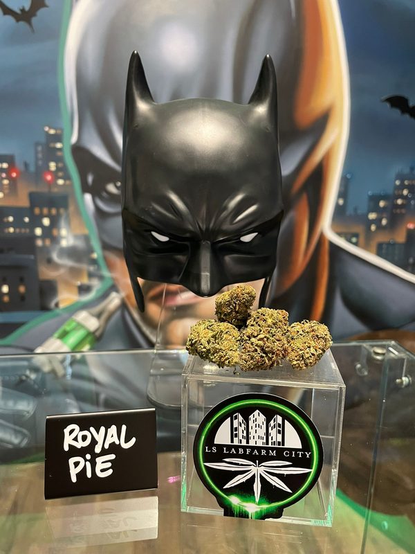 Fleur CBD Royal Pie - LS LabFarm City Nice