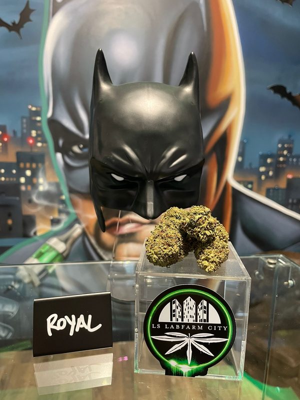 Fleur CBD Royal - LS LabFarm City Nice