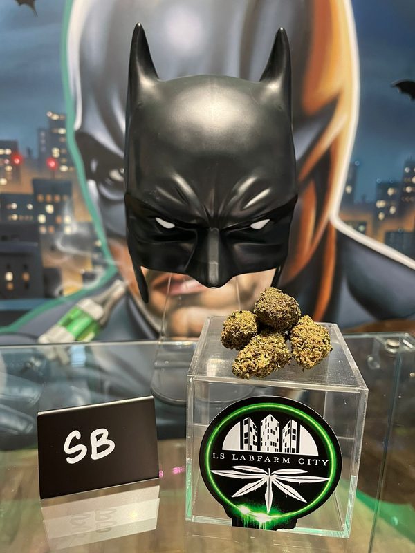 Fleur CBD SB - LS LabFarm City Nice