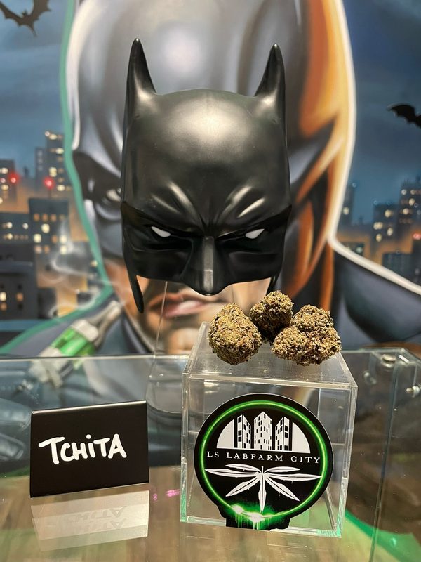 Fleur CBD Tchita - LS LabFarm City Nice